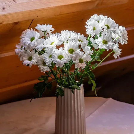 U Anusia Jacuzzi & Sauna