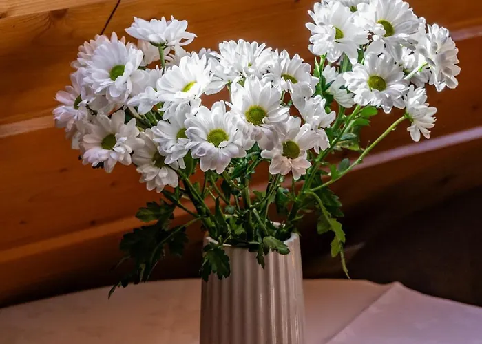 U Anusia Jacuzzi & Sauna